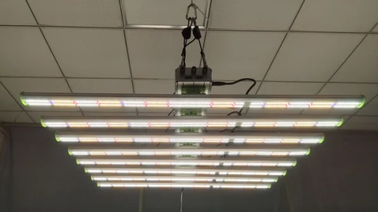 Lampada da coltivazione a LED regolabile a spettro completo con controllo intelligente per agricoltura verticale da 800 W per piante da interno