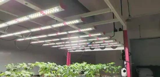 Lampada da coltivazione a LED impermeabile dimmerabile a spettro completo da 35/40 W per serre di Spider Farmer e fattorie verticali